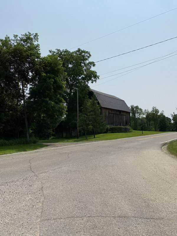 Unidilla - July 2021 Photos Of Unidilla (newer photo)